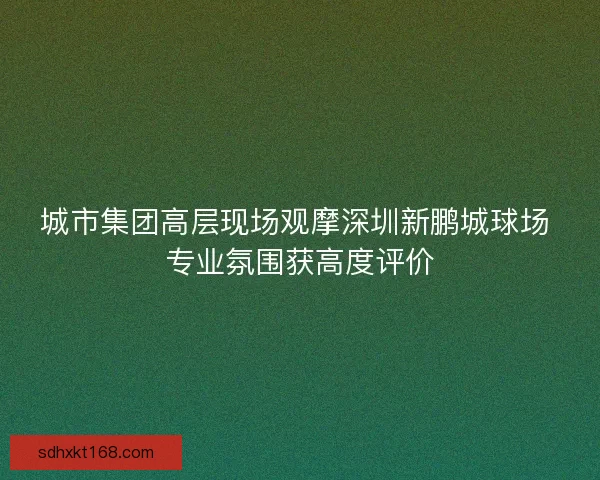 城市集团高层现场观摩深圳新鹏城球场 专业氛围获高度评价 城市集团高层现场观摩深圳新鹏城球场 专业氛围获高度评价