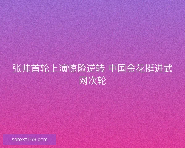 张帅首轮上演惊险逆转 中国金花挺进武网次轮