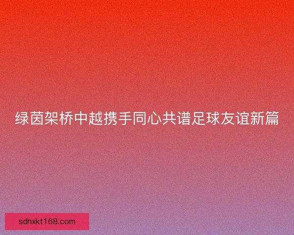 绿茵架桥中越携手同心共谱足球友谊新篇